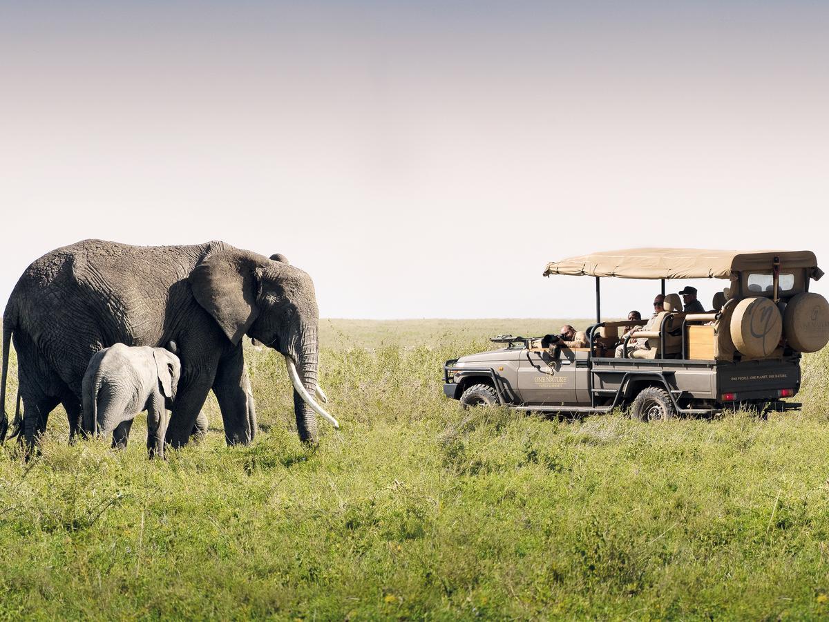 One Nature Nyaruswiga Serengeti Banagi Kültér fotó