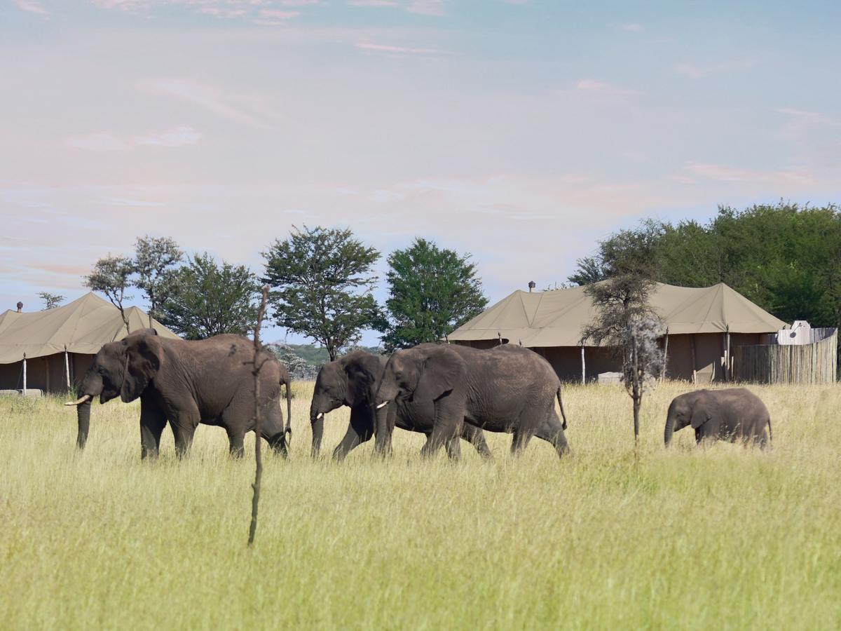 One Nature Nyaruswiga Serengeti Banagi Kültér fotó