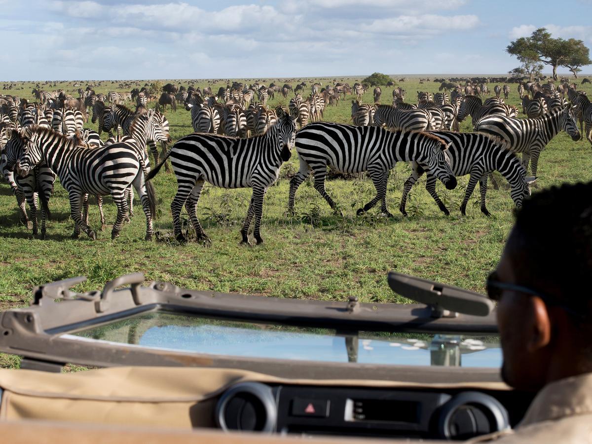 One Nature Nyaruswiga Serengeti Banagi Kültér fotó